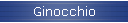 Ginocchio